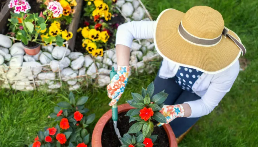 Strumenti da giardinaggio: cosa fare per coltivare la propria passione