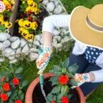 Strumenti da giardinaggio: cosa fare per coltivare la propria passione