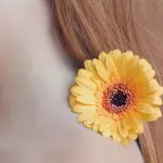 Come eliminare i pidocchi dai capelli definitivamente