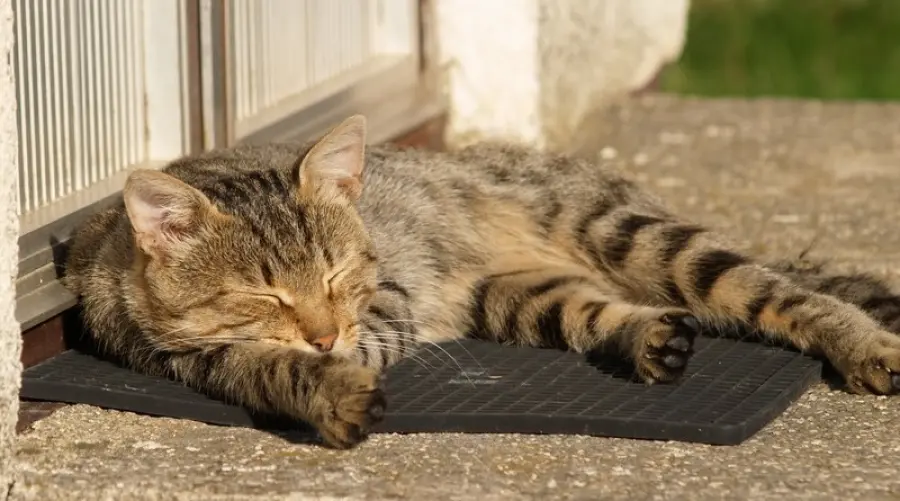 Cosa fare per dormire meglio