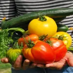 Come fare l’orto biologico